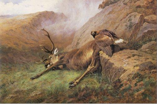 Archibald Thorburn the lost stag